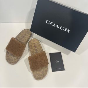 Coach Men’s Tan / Neutral Slide With Shearling And Signature Pattern New In Box